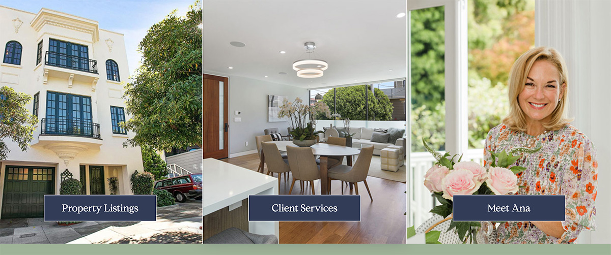 Screenshot of agent Ana T.L. Dierkhising's website, showing a section for properties, services, and about